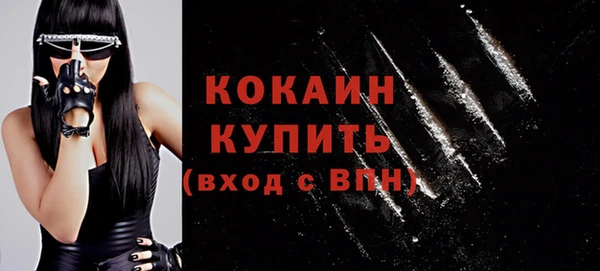 стаф Козловка